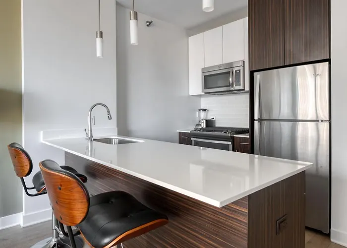 Apartment Loop 1br W Roof Gym Lounge Nr Riverwalk Chi-913 *
