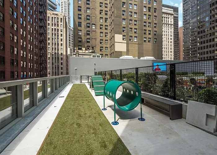 Apartment Loop 1br W Roof Gym Lounge Nr Riverwalk Chi-913 *